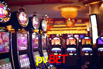 pvbet Brasília - VIP Program